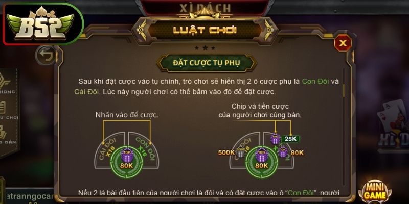 Theo dõi bảng kết quả 